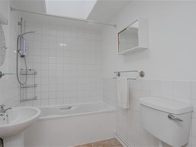 Picture 14